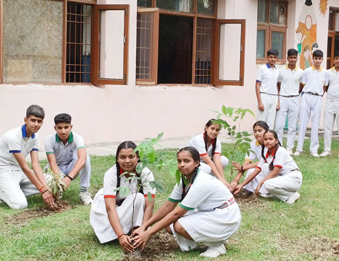 class image